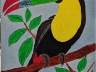 Tucan