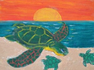 Turtle on a beach painting for school trips