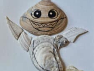 Baby shark from seashells