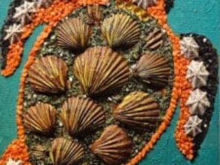 seashell and mixed media turtle project
