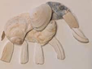 mixed media seashell elephant