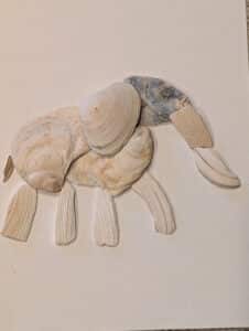 mixed media seashell elephant