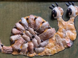 Project with snails with seashells