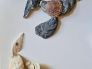 Birds seashell project